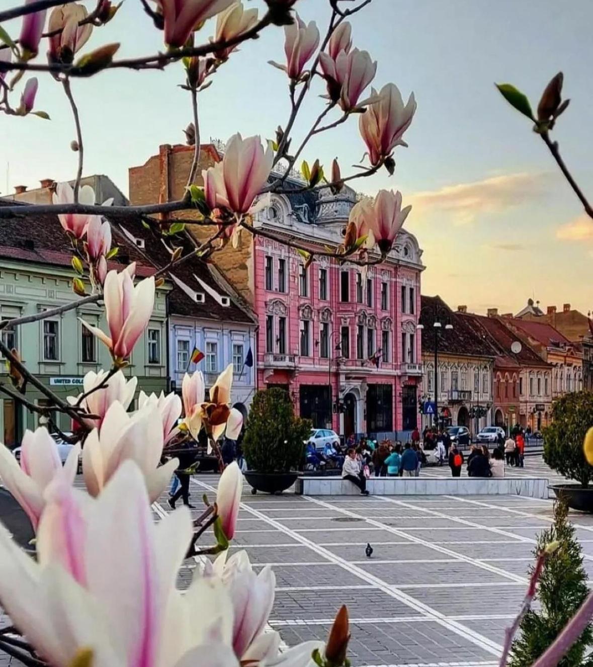 Apartament cu 2 dormitoare