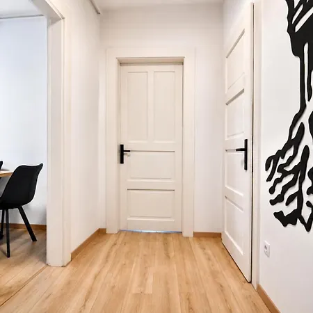 Luxurious & Spacious Residence In The Heart Of Brasov-2